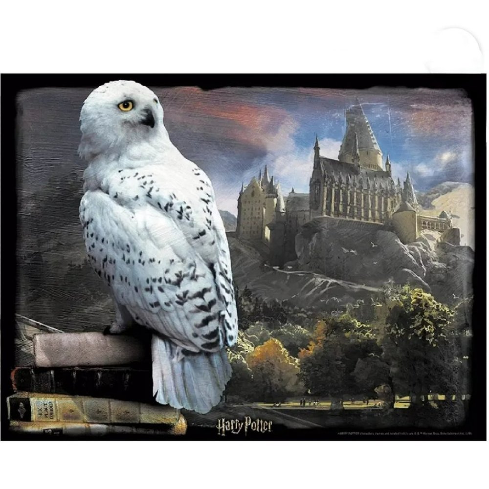 Harry Potter 3D Image Puzzle NIB